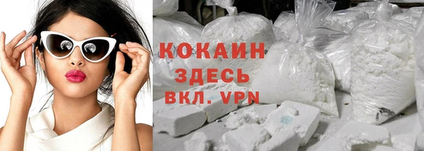 крисы Баксан