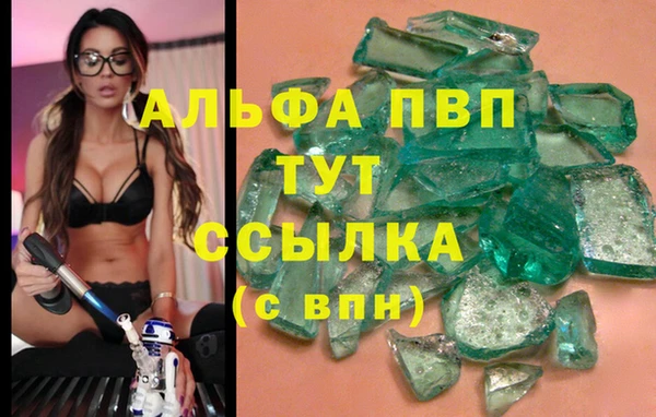 крисы Баксан