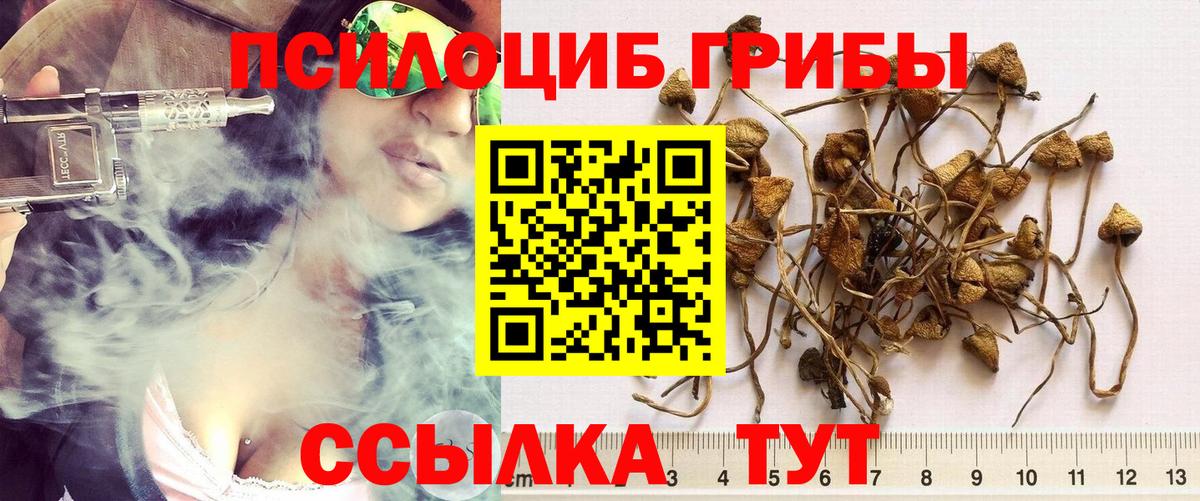 Галлюциногенные грибы Magic Shrooms Вичуга