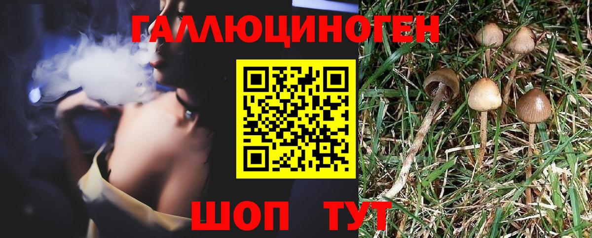 где найти   Вход с VPN  Вичуга  Галлюциногенные грибы прущие грибы 