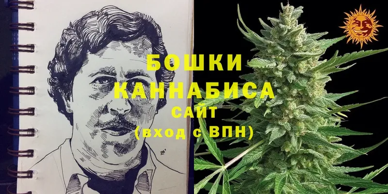 МАРИХУАНА SATIVA & INDICA  Вичуга 